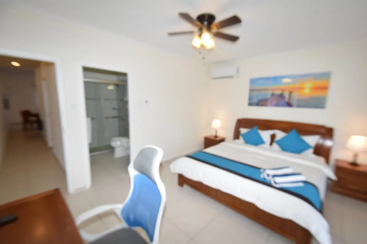 Arena Condos Aruba - Few Steps From Eagle Beach! 棕榈滩 酒店