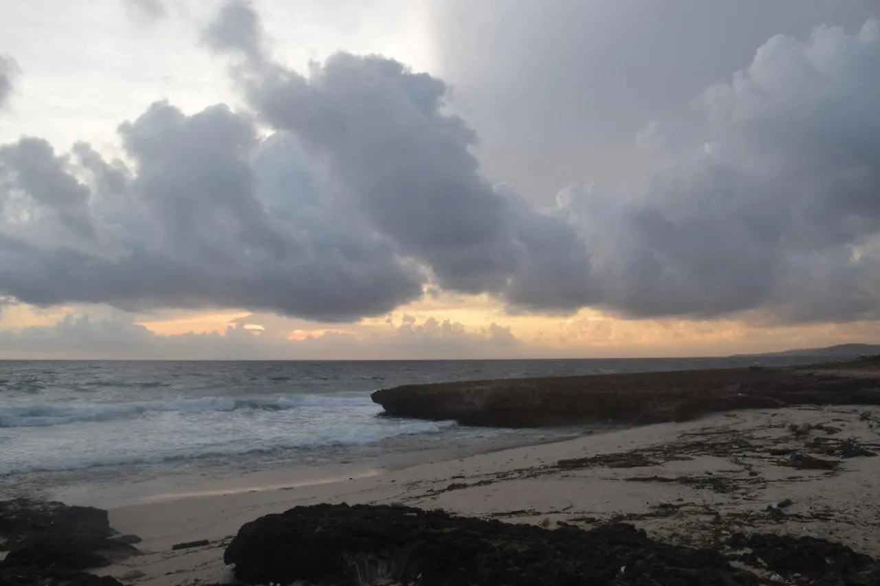 Arena Condos Aruba - Few Steps From Eagle Beach! Palm Beach Hotel